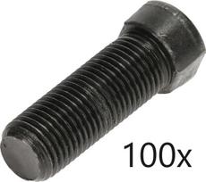 Varžtų rinkinys 100 vnt. M12x1,25x40 M1212540109BFEZN