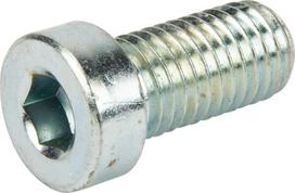Cilindro varžtas M12x25 NSI027