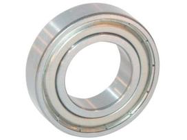 Gilaus griovelio rutulinis guolis NWB00231
