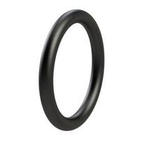 O-žiedas 77.79x3.53 mm 75 Shore Viton Kramp OR7779353VP001