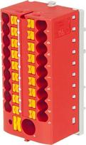 Gnybtų blokas PTFIX618X25NS35RD