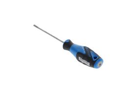 Atsuktuvas Torx T25 100mm SC2163BTXT25
