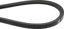 Diržas V SPB 17x3800 Optibelt SPB3800
