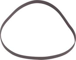 PTFE žiedas SS160115AN