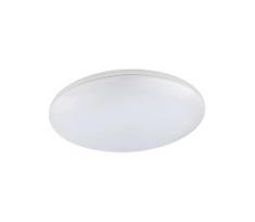 GLOBO 32118-24 - LED lauko lubinis šviestuvas DORI LED/24W/230V IP54