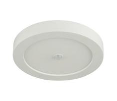 GLOBO 41605-18S - LED lauko lubinis šviestuvas PAULA su judesio jutikliu, 18W/230V