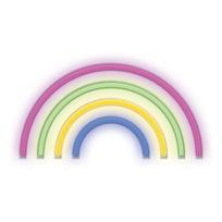 Neoninis LED šviestuvas RAINBOW 5 spalvų FLNE14X Forever Light