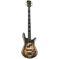 Bosinė gitara Spector Euro5 CST NBB