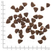 WOLFSBLUT Wide Plain Small breeds Horse with sweet potatoes – sausas maistas šunims – 2kg