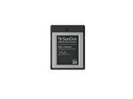 SANDISK Professional PRO-CINEMA 256GB CFexpress VPG400 Type B Card upto 1700MB/s Read 1400MB/s Write
