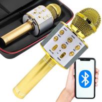 Belaidis karaoke mikrofonas su dėklu Rivex M55