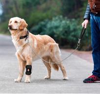 WEZHO Adjustable Dog Knee Brace