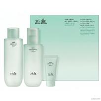 Hanyul grynosios pelyno raminamasis rinkinys (Tonikas 150ml + Skystis 125ml) (+Nemokama dovana)