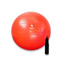 Mankštos kamuolys su pompa, 55cm YellowSport