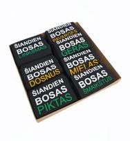 Vyriškų kojinių rinkinys „Šiandien Bosas...“ (43-46)