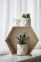Vazonų rinkinys „Geometrinis“, matinė balta