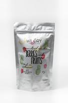 Liofilizuotų vaisių ir uogų mišinys, 60g