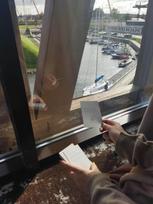 Kūrybinis rinkinys /Loginis gamtos žaidimas Gamtos stebuklai