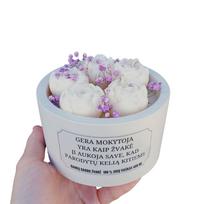 Rankų darbo dovana mokytojai „Gėlių sapnas“