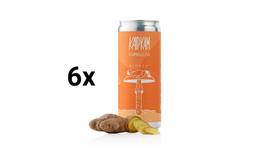 6 vnt - Kaip Kam Ginger kombucha