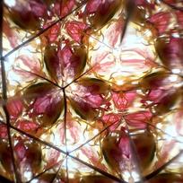 Gėlių kaleidoskopas konstruktorius „DIY Flowerscope“