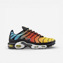 Nike Air Max Plus Baltijos mėlyna Saugos oranžinė 44 oranžinė
