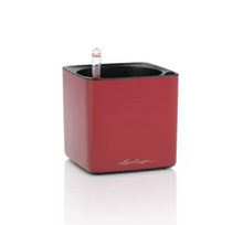 Vazonas su savaiminio drėkinimo sistema LECHUZA Cube Glossy 14, 13502, skaisčiai raudona matinė
