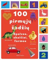 100 pirmųjų žodžių. Spalvos, skaičiai, formos - Gabjota Alūzaitė