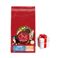 PURINA ONE Junior Medium/Maxi šuniukų maistas, turtingas vištiena ir ryžiais, 7 kg + Staigmena Šunui