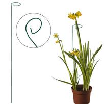 Augalų atrama su kilpele, 70 cm