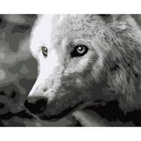Tapymas pagal numerius, F011 Baltas vilkas, 40x50, artkatalog, F011