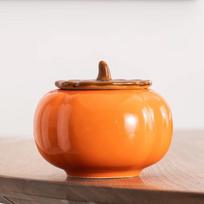 Nešiojamas Kinų Kung Fu arbatos rinkinys su nešiojimo krepšiu – Keraminis kelioninis arbatinukas su 4 puodeliais, Gaiwan ir arbatos priedais Tea Jar