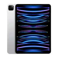 Apple iPad Pro 11" (2022) Wi-Fi 4th Gen planšetinis kompiuteris 2 T, Silver