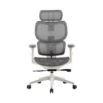 Onex Gaming Office Chair | Ventra Premium Mesh | White