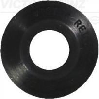 Vožtuvo riebokšlis REINZ 70-25184-00