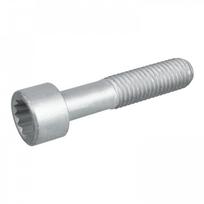 Kardaninio veleno flanšo varžtas FEBI BILSTEIN 09455