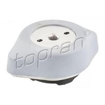 Automatinės pavarų dėžės tvirtinimas TOPRAN 110 230
