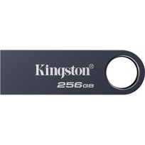 Kingston USB Flash Drive | DataTraveler SE9 G3 | 256GB | USB Type-A | Grey