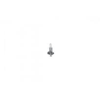 Tolimųjų šviesų žibinto lemputė BOSCH 1 987 301 051