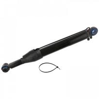 Vairuotojo kabinos posvyrio cilindras FEBI BILSTEIN 31869