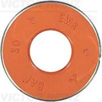 Vožtuvo riebokšlis REINZ 70-41469-00