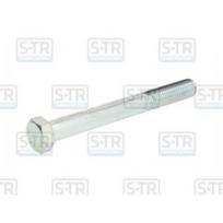 Varžtas S-TR STR-M16X2/140-1