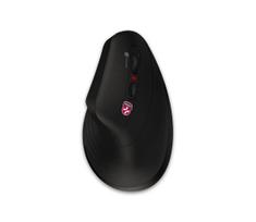 CONNECT IT CMO-2880-BK - Ergonomiška belaidė pelė Verti TriMode 1000/1600/2400 DPI 2x AAA