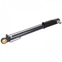 Vairuotojo kabinos posvyrio cilindras FEBI BILSTEIN 100589