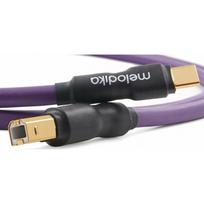 Kabel USB Melodika USB-C - USB-B 0.3 m Purple (MELO-MDUCB03) | MELO-MDUCB03 | 5907609009852