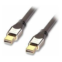 Kabel Lindy DisplayPort Mini - DisplayPort Mini 2m srebrny (41542) | 41542 | 4002888415422