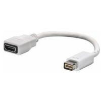 Adapter AV Lindy DVI Mini - HDMI biały | 4002888410014 | 4002888410014