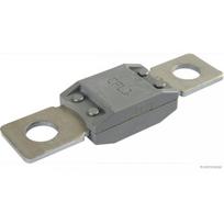 Saugiklis HERTH+BUSS ELPARTS 50295841