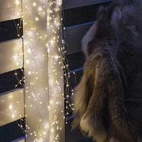 Lampki choinkowe Philips Sirius Home 30746, Silver, Transparent, 350 bulb(s), LED, 12 W, 12 V, 2700 mm | 30746 | 5707310307465