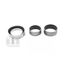 Ašies sijos adatinis guolis TEDGUM TED31749